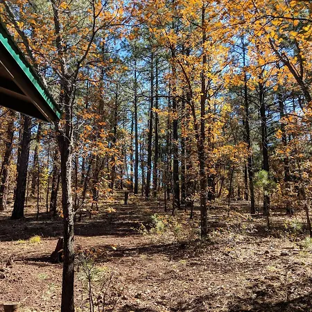 Cozy Cub Log Cabin - Year Round Tranquil Beauty Pinetop-Lakeside Exterior photo