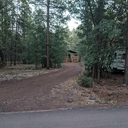 Cozy Cub Log Cabin - Year Round Tranquil Beauty Pinetop-Lakeside Exterior photo