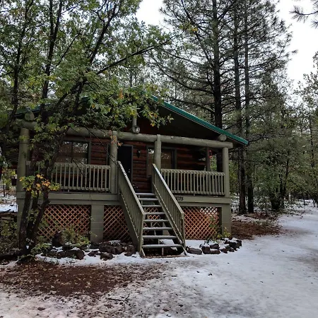Cozy Cub Log Cabin - Year Round Tranquil Beauty Pinetop-Lakeside Exterior photo