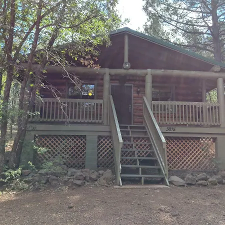Cozy Cub Log Cabin - Year Round Tranquil Beauty Pinetop-Lakeside Exterior photo