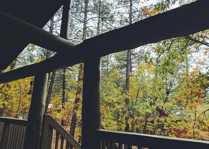 Cozy Cub Log Cabin - Year Round Tranquil Beauty