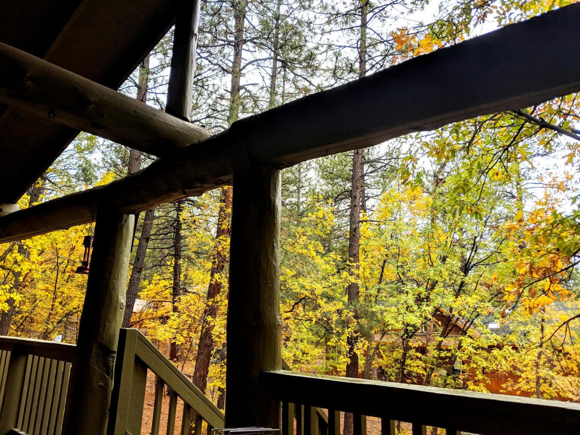 Cozy Cub Log - Year Round Tranquil Beauty