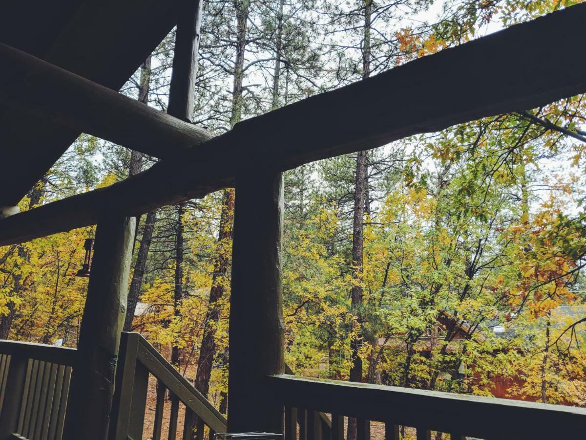 Cozy Cub Log - Year Round Tranquil Beauty *