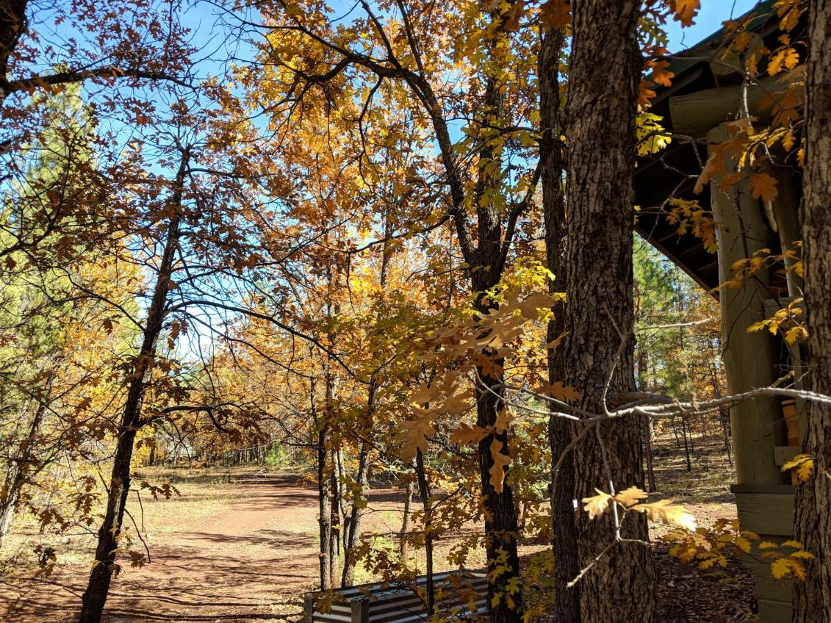 Cozy Cub Log - Year Round Tranquil Beauty Pinetop-Lakeside